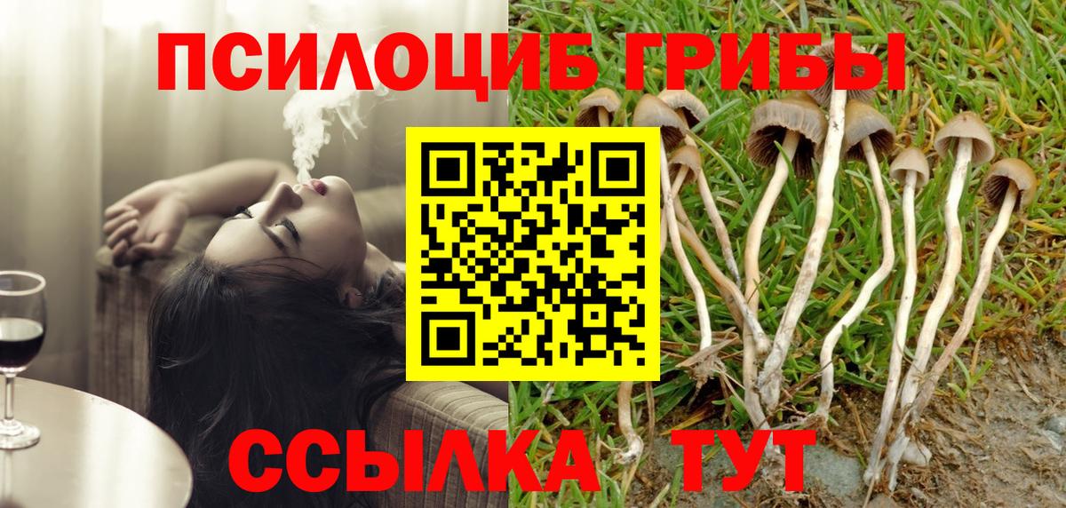 Галлюциногенные грибы MAGIC MUSHROOMS  Псилоцибиновые грибы Magic Shrooms  Вход с VPN  Карталы 